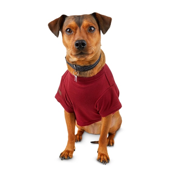 reddy Dog Reddy Soul Cnxn Dog Tshirt Xl Nwt Poshmark